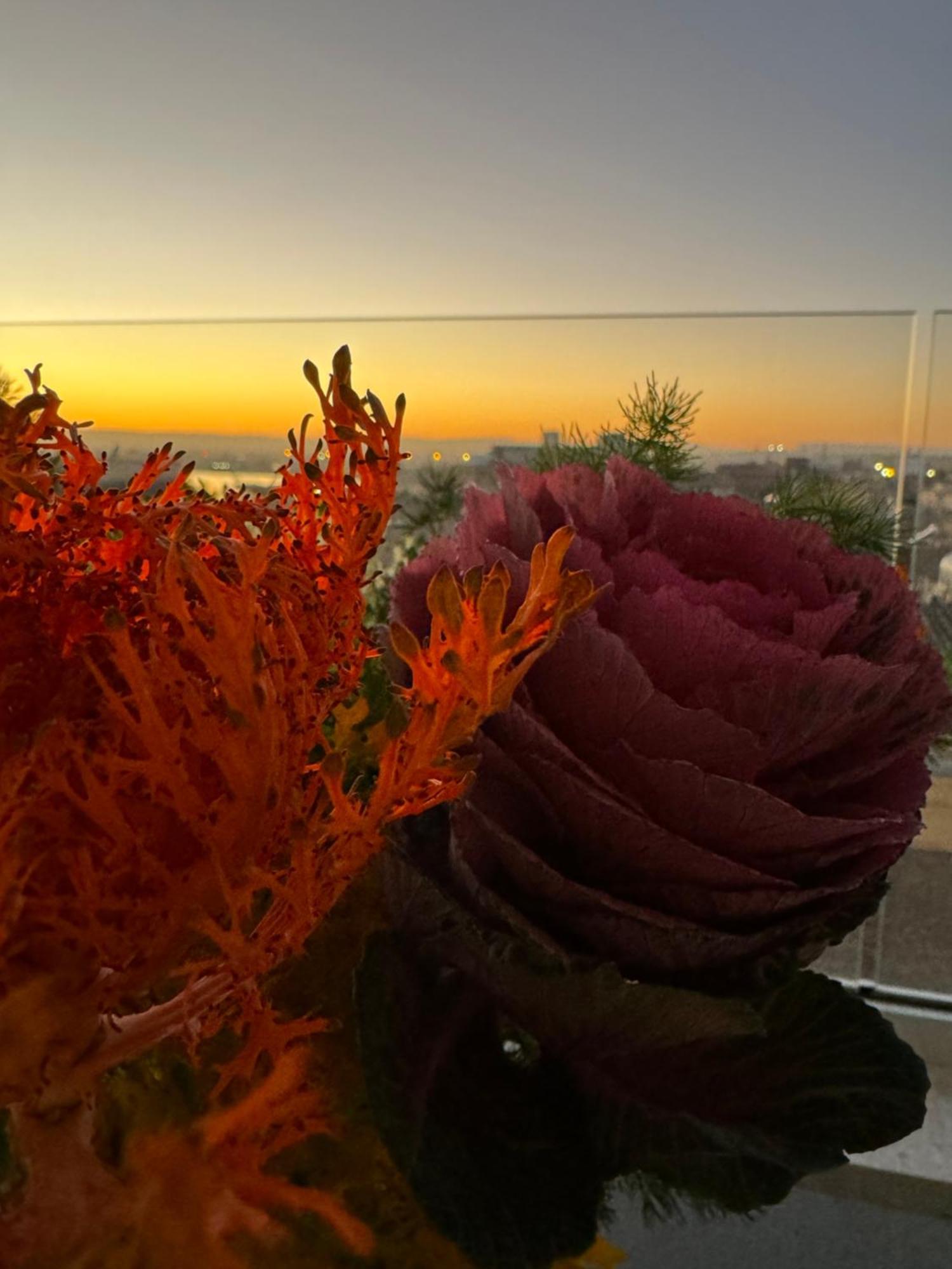 La Terrazza Sul Porto Bed & Breakfast Syracuse ภายนอก รูปภาพ