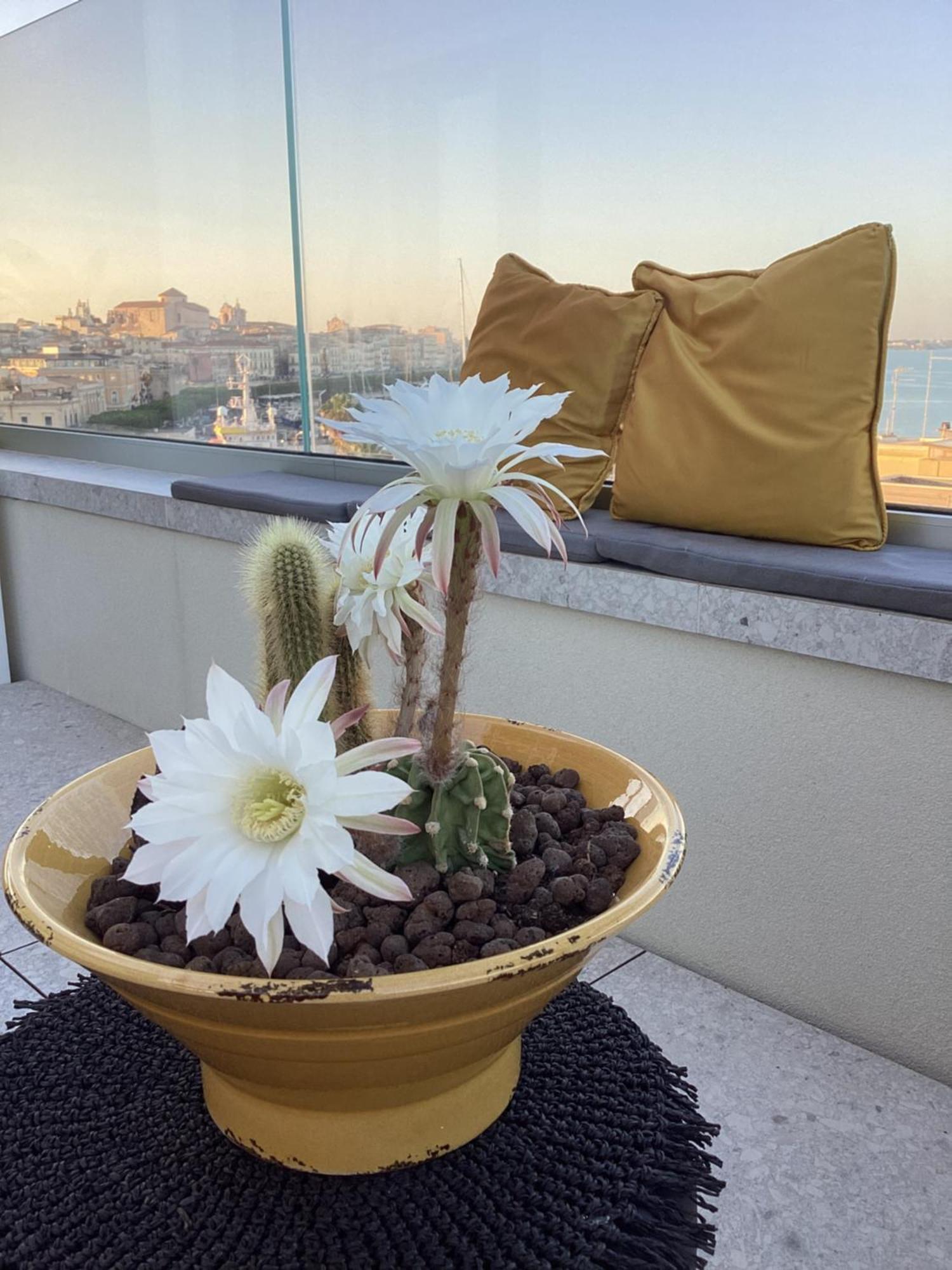 La Terrazza Sul Porto Bed & Breakfast Syracuse ภายนอก รูปภาพ