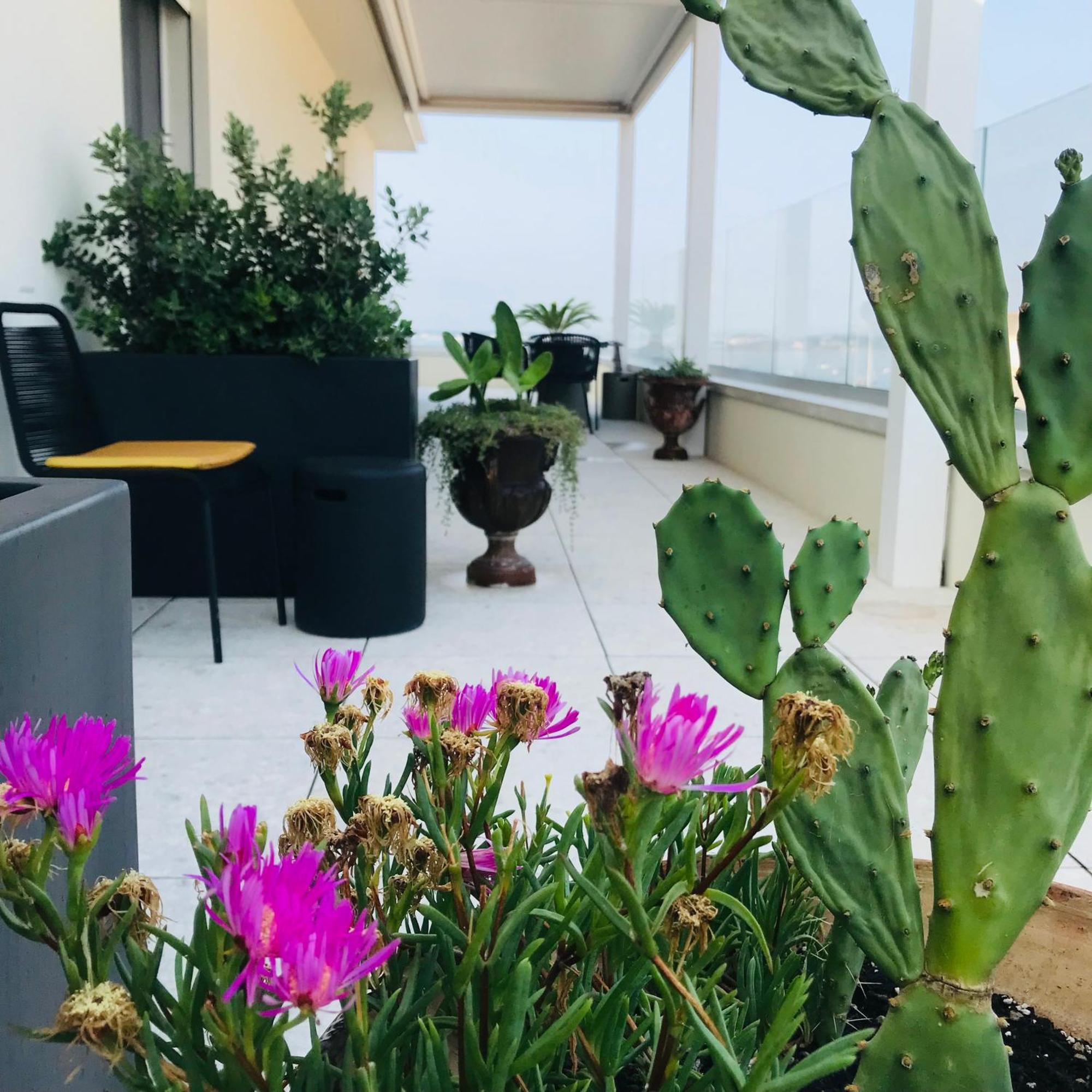 La Terrazza Sul Porto Bed & Breakfast Syracuse ภายนอก รูปภาพ